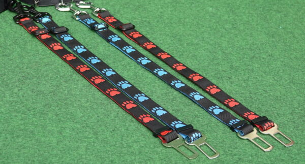 Veiligheidsgordel